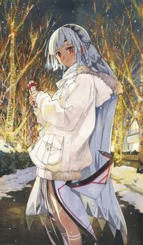 Rule 34 | 1girl, altera (fate), altera (sweet crystal) (fate), bare legs, bare tree, blush, breath, chocolate lady no karasawagi, coat, commentary, dark-skinned female, dark skin, fate/grand order, fate (series), feet out of frame, fur-trimmed jacket, fur trim, gift, grey sky, holding, holding gift, hood, hood down, horiguchi yukiko, jacket, light smile, long sleeves, looking at viewer, official art, red eyes, sky, snow, snowing, solo, standing, third-party source, tree, veil, white hair, white jacket, white veil, winter clothes, winter coat