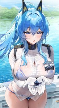 1girl absurdres animal bikini bikini_under_clothes black_horns blue_bikini blue_eyes blue_hair boat braid commentary_request cowboy_shot day fish frilled_bikini frills gloves goddess_of_victory:_nikke hair_intakes hair_over_breasts helm_(aqua_marine)_(nikke) helm_(nikke) high_ponytail highres holding holding_animal holding_fish horns jacket light_blush long_sidelocks looking_at_animal murabana44 naval_jacket on_boat open_mouth outdoors ponytail rainbow see-through_clothes see-through_jacket shoulder_boards side_braid sidelocks solo standing swimsuit water watercraft wet wet_clothes wet_hair wet_jacket white_gloves white_jacket