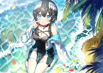 1girl beach bird_tail black_dress black_hair blue_eyes blue_hair blush breasts cleavage commentary_request day dress from_above hair_between_eyes hand_up head_wings highres indie_virtual_youtuber jacket kurata_rine kurata_rine_(vtuber) looking_at_viewer looking_up medium_breasts multicolored_hair off_shoulder open_clothes open_jacket outdoors palm_tree parted_lips petals sand shallow_water sitting sleeveless sleeveless_dress solo tail tree two-tone_hair virtual_youtuber wariza water waves white_jacket white_wings wings
