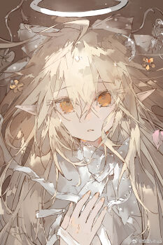 1girl blonde_hair bow bowtie brown_background chinese_commentary commentary_request crossed_bangs dot_nose expressionless eyelashes fingernails floating_hair flower grey_bow grey_bowtie grey_shirt hair_between_eyes hair_bow hair_flower hair_ornament halo hand_on_own_chest highres lace lace-trimmed_shirt lace_trim light_particles long_hair orange_eyes original parted_lips pink_flower pink_rose pointy_ears polka_dot polka_dot_bow polka_dot_bowtie rose shirt solo straight-on traditional_halo upper_body very_long_hair vihua6 watermark weibo_watermark white_halo yellow_flower yellow_nails