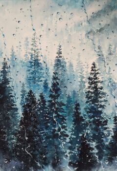 cola_(gotouryouta) commentary conifer english_commentary fog forest nature no_humans original outdoors rain scenery tree water_drop