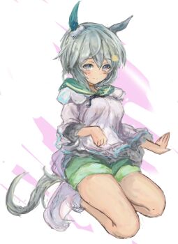 1girl animal_ears blue_eyes blush breasts brown_choker choker closed_mouth commentary_request ear_covers flower green_sailor_collar green_shorts grey_hair hair_between_eyes hair_flower hair_ornament hairclip horse_ears horse_girl horse_tail long_sleeves looking_at_viewer sailor_collar seiun_sky_(reeling_in_the_big_one)_(umamusume) seiun_sky_(umamusume) shirt shoes short_hair shorts single_ear_cover small_breasts smile solo sunflower sunflower_hair_ornament tail umamusume white_shirt yanagi_wakana