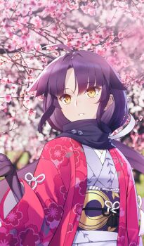1girl ahoge black_scarf breasts cherry_blossoms colored_extremities commentary day diamond-shaped_pupils diamond_(shape) doll_joints fate/grand_order fate_(series) floral_print flower hand_up haori japanese_clothes joints katou_danzou_(fate) katou_danzou_(under_the_same_sky)_(fate) kimono long_hair obi obiage obijime official_art outdoors parted_bangs parted_lips photo_background pink_flower pink_haori print_haori print_sash purple_hair purple_kimono purple_sash sash scarf sidelocks small_breasts sunlight symbol-shaped_pupils teeth third-party_source tree upper_body yangsion yellow_eyes