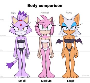 3girls amy_rose animal_ears artist_name bat_girl bat_wings blaze_the_cat breasts cat_ears cat_girl cat_tail furry furry_female hedgehog_girl highres multiple_girls pink_fur purple_fur rouge_the_bat simple_background sonic_(series) tail white_background wings yeonwu08