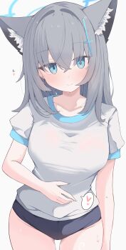 1girl absurdres alternate_breast_size_(larger) animal_ear_fluff animal_ears blue_archive blue_buruma blue_halo blush breasts buruma closed_mouth collarbone commentary cowboy_shot cross cross_hair_ornament earrings extra_ears gluteal_fold grey_hair groin gym_shirt gym_uniform hair_between_eyes hair_ornament halo hand_on_own_stomach heart highres inverted_cross jewelry large_breasts latin_cross long_hair looking_at_viewer nui_(nuinui0300) puffy_short_sleeves puffy_sleeves shiroko_(blue_archive) shirt short_sleeves simple_background smile solo speech_bubble spoken_heart stud_earrings sweat thighs variant_set white_background white_shirt wolf_ears wolf_girl