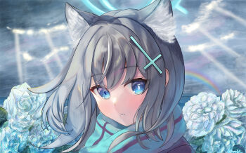 Rule 34 | 1girl, absurdres, am3lo, animal ears, blue archive, blue eyes, blue halo, blue scarf, cloud, cloudy sky, commentary request, cross hair ornament, flower, grey hair, hair ornament, halo, highres, looking at viewer, medium hair, mismatched pupils, outdoors, parted lips, portrait, rainbow, scarf, shiroko (blue archive), sky, solo, twitter username, white flower, wolf ears
