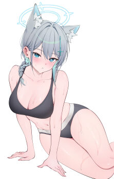 1girl absurdres alternate_hairstyle animal_ear_fluff animal_ears black_panties black_sports_bra blue_archive blue_eyes blue_hair blue_halo blush braid breasts cleavage collarbone commentary cross_hair_ornament grey_hair hair_ornament halo highres large_breasts looking_at_viewer multicolored_hair navel panties rable shiroko_(blue_archive) simple_background single_braid sitting solo sports_bra sweat thighs two-tone_hair underwear white_background