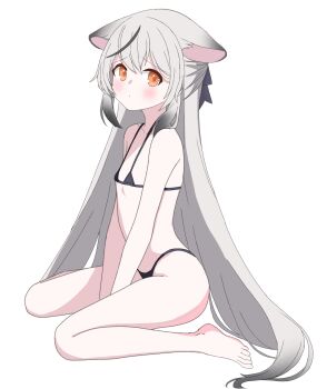 1girl animal_ears barefoot between_legs bikini black_bikini blue_archive full_body giang_huynh grey_hair hand_between_legs highres kokona_(blue_archive) loli long_hair looking_at_viewer micro_bikini multicolored_hair sitting solo streaked_hair swimsuit tiger_ears tiger_girl wariza white_background