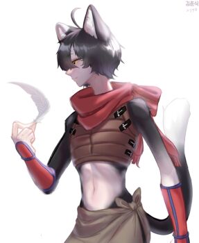 Rule 34 | 1girl, ahoge, animal ear fluff, animal ears, artist name, black hair, cat ears, cat girl, cat tail, commentary, cowboy shot, dungeon meshi, english commentary, feathers, highres, holding, holding feather, izutsumi, kimchunsik, midriff, navel, red scarf, scarf, short hair, simple background, sleeveless, slit pupils, solo, tail, white background, yellow eyes