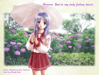 1girl artist_name bad_id blue_hair bow bowtie brown_eyes character_name copyright_name cowboy_shot english_text engrish_text flower himekawa_kotone holding holding_umbrella hydrangea long_hair looking_at_viewer open_mouth outdoors photo_background ranguage red_bow red_bowtie red_sailor_collar red_skirt sailor_collar school_uniform serafuku shirt skirt smile solo standing sunlight to_heart to_heart_(series) umbrella white_shirt white_umbrella woody-rinn