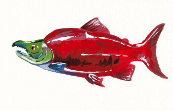 Rule 34 | animal focus, commentary, english commentary, fish, from side, full body, gouache (medium), highres, no humans, original, painterly, painting (medium), rnbwtrout, salmon (fish), simple background, traditional media, white background