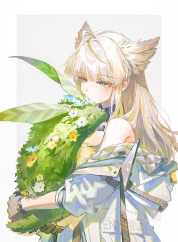 1girl ahoge animal animal_ears arknights arknights:_endfield bare_shoulders bird_ears bird_girl blonde_hair blue_eyes blush closed_mouth commentary eyelashes flower from_side gloves grass grey_background highres holding holding_animal holding_rabbit jacket leaf long_hair long_sidelocks looking_at_animal off_shoulder perlica_(arknights) quasarcake rabbit sidelocks simple_background solo_focus three-quarter_sleeves upper_body white_jacket yellow_gloves yellow_pupils