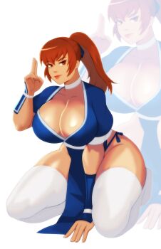 1girl artistic_madman breasts dead_or_alive kasumi_(doa) large_breasts long_hair