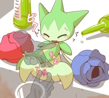 1girl ^_^ anus blue_flower blue_rose bottle clitoris closed_eyes colored_skin crepix cup disembodied_hand drinking_glass female_focus flower full_body gen_3_pokemon green_skin japanese_text large_variant_set leaning_back monster_girl nintendo no_feet pee peeing plant_girl pokemon pokemon_(creature) pressing_bladder pussy pussy_juice red_flower red_rose rose roselia_(pokemon) sitting solo_focus spread_legs spread_pussy spreading_another&#039;s_pussy sweat tears translation_request uncensored urethra variant_set