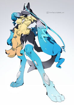 1girl animal_ears animal_feet animal_hands animal_nose arm_at_side artist_name asymmetrical_breasts black_fur blue_eyes blue_fur body_fur breasts bright_pupils claws closed_mouth feet female_focus fluffy foreshortening furry furry_female gen_4_pokemon gradient_background grey_background grey_fur hand_on_own_hip legs long_legs looking_at_viewer lucario medium_breasts mega_lucario_z multicolored_fur navel neck_fur nintendo pawpads pokemon pokemon_(creature) signature simple_background snout solo spikes stomach tail twitter_username white_pupils wolf_ears wolf_girl wolf_tail yarengekiryu yellow_fur