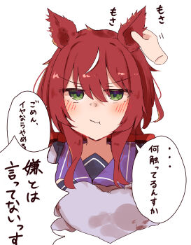 1girl :t absurdres animal_ears blush commentary_request disembodied_hand embarrassed furrowed_brow hair_between_eyes hand_on_another&#039;s_ear highres horse_ears horse_girl izi_dw motion_lines multicolored_hair pout purple_sailor_collar purple_shirt red_eyes sailor_collar shirt solo speech_bubble streaked_hair translation_request umamusume white_hair win_variation_(umamusume)