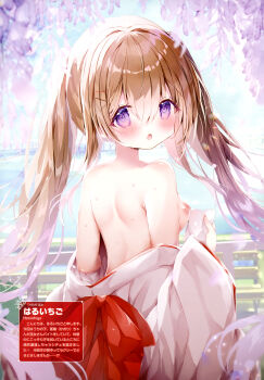 1girl :o absurdres armpit_crease artist_name back blush breasts brown_hair cherry_blossoms day dengeki_moeoh from_behind hair_between_eyes hair_ornament hairpin hakama hakama_skirt haru_ichigo highres holding_tissue japanese_clothes kimono kimono_pull kosode long_hair looking_at_viewer looking_back magazine_scan medium_breasts miko nipples open_mouth oppai_loli original outdoors partially_undressed purple_eyes red_skirt scan shiny_skin shoulder_blades skirt solo sweat tissue translation_request twintails