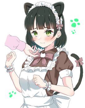 2girls animal_ears anyoji_hime apron black_hair blue_hair blunt_bangs bob_cut bow bowtie breasts brown_dress cat_brooch cat_ears cat_girl cat_tail colored_inner_hair commentary disembodied_hand dress embarrassed frilled_apron frills green_eyes highres jacket katanashi_(ktnsh_popu) kemonomimi_mode link!_like!_love_live! long_sleeves love_live! maid maid_apron maid_headdress medium_breasts momose_ginko multicolored_hair multiple_girls nyan_nyan_nyan_fair_in_gamers official_alternate_costume pink_bow pink_bowtie pink_jacket puffy_short_sleeves puffy_sleeves short_hair short_sleeves simple_background solo_focus symbol-only_commentary tail virtual_youtuber white_apron white_background