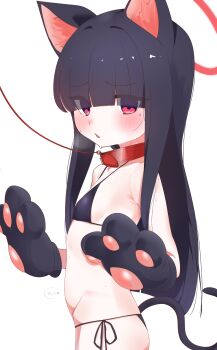 1girl absurdres alternate_costume animal_ears bikini blue_archive breasts cat_ears cat_tail halo highres justice_task_force_member_(blue_archive) loli long_hair looking_at_viewer micro_bikini red_eyes rinki_(rink2) small_breasts solo straight_hair swimsuit tail upper_body