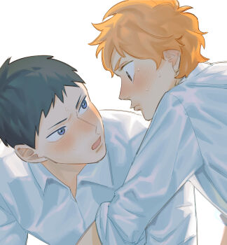 2boys black_hair blue_eyes blush closed_mouth collared_shirt commentary fezo haikyuu!! highres hinata_shouyou kageyama_tobio looking_at_another male_focus multiple_boys open_mouth orange_hair shirt short_hair simple_background symbol-only_commentary white_background white_shirt yaoi