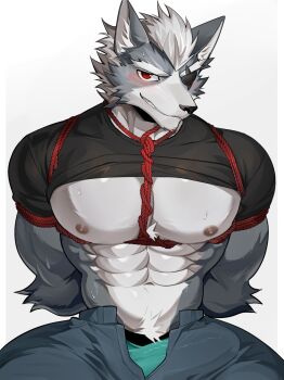 1boy abs animal_ears ao_(chung0u0) arms_behind_back bara bare_pectorals biceps black_pants black_shirt blush bound bound_wrists bulge commentary erection erection_under_clothes eyepatch furry furry_male green_male_underwear grey_fur grey_hair grin highres looking_at_viewer male_focus male_underwear muscular muscular_male navel nintendo nipples one_eye_covered open_fly pants pectorals shibari shibari_over_clothes shirt smile star_fox sweatdrop symbol-only_commentary underwear white_background wolf_boy wolf_ears wolf_o&#039;donnell