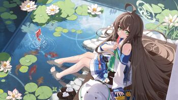 Rule 34 | 1girl, absurdres, bare shoulders, barefoot, blue archive, brown hair, character request, feet in water, fish, flower, goldfish, green eyes, halo, highres, lake, long hair, looking at viewer, lotus, shoes, sleeves past wrists, unworn shoes, very long hair, xintianou