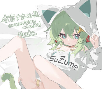 1girl bandaid bandaid_on_pussy bandaids_on_nipples commission flat_chest green_hair highres hood loli looking_at_viewer measho original pasties skeb_commission solo tail