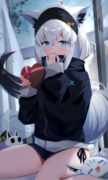 Rule 34 | 1girl, absurdres, ahoge, animal ear piercing, animal ears, aqua eyes, black jacket, black shirt, box, commentary, earrings, fox ears, fox girl, fox tail, gift, hair between eyes, hands up, heart-shaped box, highres, holding, holding gift, hololive, indoors, jacket, jewelry, long hair, looking at viewer, low ponytail, mk haku, nejima kitsune (shirakami fubuki), no pants, official alternate costume, panties, pentagram, ponytail, shirakami fubuki, shirakami fubuki (loungewear), shirt, side-tie panties, sitting, solo, sukonbu (shirakami fubuki), tail, underwear, untranslatable commentary, virtual youtuber, wariza, white hair