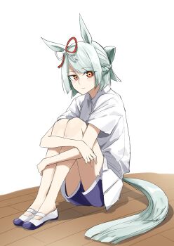 1girl absurdres animal_ears blue_shorts bobby_socks bow braid brown_eyes closed_mouth commentary crown_braid dolphin_shorts dress_shirt ear_ribbon folded_ponytail fujimasa_march_(umamusume) full_body grey_hair highres horse_ears horse_girl horse_tail hugging_own_legs kakuteru_sudachi light_frown long_hair looking_at_viewer miniskirt no_socks on_floor pleated_skirt shirt shoes short_hair short_shorts short_sleeves shorts shorts_under_skirt skirt socks solo tail umamusume umamusume:_cinderella_gray uwabaki white_background white_shirt white_shoes white_skirt wing_collar wooden_floor