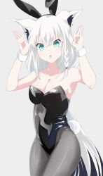 Rule 34 | 1girl, ahoge, animal ear fluff, animal ears, armpits, arms up, bare arms, black leotard, braid, breasts, cleavage, commentary request, earrings, fake animal ears, fox ears, fox girl, fox tail, green eyes, grey background, grey pantyhose, hair between eyes, highres, hololive, jewelry, leotard, long hair, looking at viewer, medium breasts, miree 030, pantyhose, playboy bunny, rabbit ears, rabbit tail, shirakami fubuki, sidelocks, simple background, single braid, solo, tail, virtual youtuber, white hair, wrist cuffs