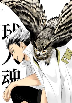 Rule 34 | 1boy, animal, bird, black hair, bokuto koutarou, commentary, from side, haikyuu!!, hand on own knee, highres, jacket, jacket on shoulders, looking at viewer, male focus, multicolored hair, owl, sac hi9, simple background, solo, symbol-only commentary, translation request, two-tone hair, unzipped, white background, white hair, white jacket, yellow eyes
