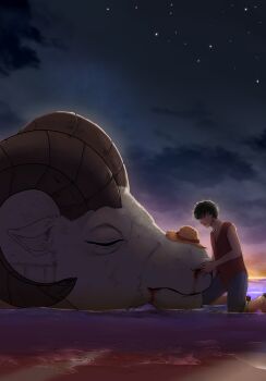 Rule 34 | 1boy, black hair, blood, blood on face, blue shorts, closed eyes, commentary, english commentary, frojdhart, going merry, hat, highres, monkey d. luffy, one piece, profile, red shirt, scar, scar on face, shirt, short hair, shorts, sleeveless, sleeveless shirt, star (symbol), straw hat, sunset