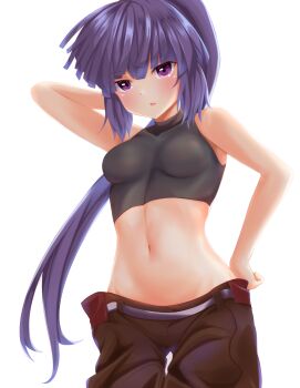 Rule 34 | 1girl, akatsuki (log horizon), arm up, backlighting, black pants, blush, breasts, breasts apart, crop top, floating hair, groin, hair between eyes, hand on own hip, highres, hureemu, log horizon, long hair, lowleg, lowleg pants, midriff, navel, open mouth, pants, ponytail, purple eyes, purple hair, simple background, small breasts, solo, standing, stomach, thigh gap, very long hair, white background