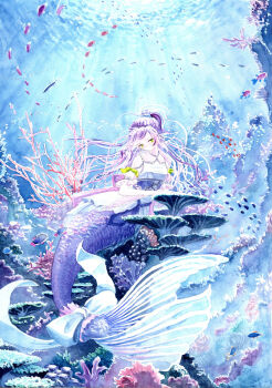 1girl commentary_request coral fish floating_hair full_body highres kyuui long_hair looking_at_viewer mermaid monster_girl original painting_(medium) purple_hair solo traditional_media underwater watercolor_(medium) yellow_eyes