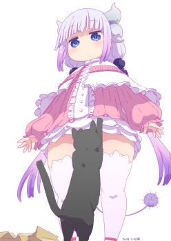 1girl beads black_cat blue_eyes capelet cat center_frills convenient_censoring dated dragon_horns dragon_tail dress expressionless frills from_below fur_collar gradient_background hair_beads hair_ornament highres horns kanna_kamui kobayashi-san_chi_no_maidragon long_hair low_twintails pink_dress purple_hair samansa_ex simple_background solo sphere_hair_ornament tail thighhighs twintails very_long_hair white_background white_capelet white_hair white_thighhighs