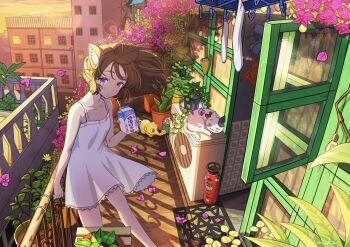 Rule 34 | 1girl, absurdly detailed composition, animal, animal ear fluff, animal ears, balcony, bare arms, bare shoulders, brown hair, building, cat, choppy bangs, clothes pin, commentary request, complex exterior, dress, drink carton, drinking straw, drying, drying clothes, evening, feet out of frame, floating hair, flower, flower request, holding, holding drink carton, medium hair, open window, original, outdoors, plant, potted plant, purple eyes, purple flower, railing, shadow, sleeping animal, sleeveless, sleeveless dress, slice of life, socks, solo, spaghetti strap, standing, sundress, umika (umika0x0), unworn socks, watering can, white cat, white dress, white socks, window