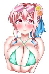 Rule 34 | 1girl, arms at sides, bikini, blue hair, blush, breasts, closed mouth, collarbone, dot nose, earrings, eyebrows, eyelashes, female focus, green bikini, hozuki kaede, huge breasts, jewelry, lips, long hair, looking at viewer, matching hair/eyes, multicolored hair, necklace, official alternate costume, onii-chan wa oshimai!, pink eyes, pink hair, pipienpippi, ponytail, sidelocks, simple background, smile, solo, sunglasses, swimsuit, two-tone hair, upper body, white-framed eyewear, white background
