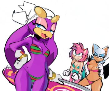 3girls amy_rose angry bandana bat_wings beak bikini bird_girl blue_eyes blush breasts cleavage colored_skin curvy davenextdoor_(justdavefnd) furry furry_female gloves green_eyes hand_on_own_hip highres large_breasts midriff multiple_girls navel pink_hair purple_skin rouge_the_bat sega shiny_skin small_breasts smile sonic_(series) sonic_riders_(series) sunglasses surfboard swimsuit thighs wave_the_swallow white_hair wings