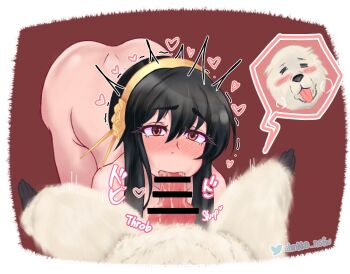 1boy 1girl all_fours bar_censor bestiality black_hair blush bond_(spy_x_family) border breasts censored completely_nude dog excited eyelashes fellatio from_above hetero large_breasts looking_at_viewer nude oral penis pov pov_crotch red_background red_eyes saliva short_hair_with_long_locks shuurin_nsfw simple_background solo_focus spy_x_family white_border yor_briar