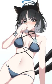1girl absurdres animal_ear_fluff animal_ears bikini black_eyes black_hair black_tail blue_archive blue_bikini blue_halo blue_tail cat_ears cat_girl cat_tail colored_inner_hair commentary_request criss-cross_straps grey_hair halo highres kikyou_(blue_archive) kikyou_(swimsuit)_(blue_archive) layered_bikini looking_at_viewer multi-strapped_bikini_bottom multicolored_hair multiple_tails official_alternate_costume qorwja short_hair simple_background solo swimsuit tail two_tails white_background