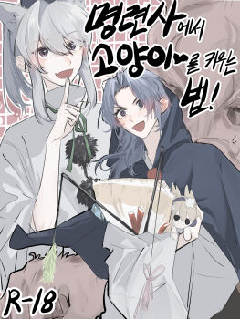 Rule 34 | 3girls, @ @, animal ears, bag, black hat, blue dress, blue eyes, blue hair, blush, cat ears, character doll, checkered background, commentary request, cover, cover page, doll, dress, fang, fingernails, gem, green ribbon, grey hair, hair between eyes, hand up, hat, high ponytail, highres, holding, holding bag, hooded dress, index finger raised, japanese clothes, jewelry, kariginu, kemonomimi mode, korean commentary, korean text, kumoi ichirin, long hair, long sleeves, looking at another, looking at viewer, medium hair, mononobe no futo, multiple girls, neck ribbon, open mouth, pendant, pink background, pink ribbon, pointy hair, pom pom (clothes), ponytail, purple eyes, red gemstone, ribbon, sidelocks, skin fang, smile, tassel, tate eboshi, touhou, toyosatomimi no miko, tt orang, turtleneck, two-tone dress, upper body, v-shaped eyebrows, white dress, wide sleeves