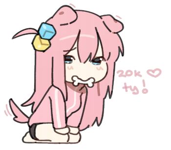 1girl animal_ears blue_eyes bocchi_the_rock! bone chibi commentary dog_ears dog_girl dog_tail english_commentary full_body gotoh_hitori jacket kemonomimi_mode long_hair looking_at_viewer mouth_hold organsoup pink_hair pink_jacket seiza simple_background sitting solo tail tail_wagging white_background