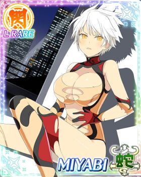 1girl :o bodysuit border breasts card_(medium) character_name cityscape covered_navel game_cg hand_on_own_stomach impossible_bodysuit impossible_clothes large_breasts looking_at_viewer miyabi_(senran_kagura) multicolored_bodysuit night official_art orange_bodysuit senran_kagura senran_kagura_new_wave shadow short_hair sitting slit_pupils solo third-party_source torn_bodysuit torn_clothes white_hair window yellow_eyes