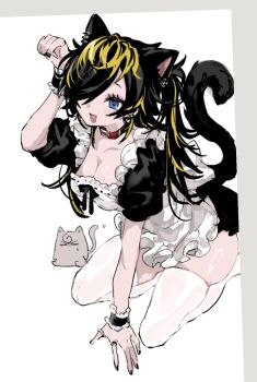 1girl :d aimono_jyushi amaguni_hitoya animal_ear_piercing animal_ears apron bdsm black_bow black_dress black_nails blue_eyes bow breasts cat_ears cat_girl cat_tail cleavage collar dress feet_out_of_frame fine_fabric_emphasis frilled_apron frilled_wristband frills genderswap genderswap_(mtf) hair_over_one_eye highres hypnosis_mic jewelry kiiro_0517 kneeling looking_at_viewer medium_breasts multicolored_hair open_mouth paw_pose pet_play puffy_sleeves red_collar ring shiny_skin skindentation slave smile striped_blush tail thighhighs twintails two-tone_hair white_thighhighs