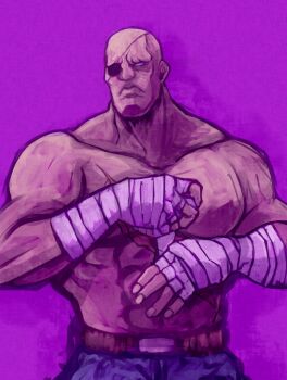 Rule 34 | 1boy, bald, bandages, capcom, eyepatch, highres, male focus, muscular, sagat, solo, street fighter, street fighter i, topless male, tsukumo (soar99)