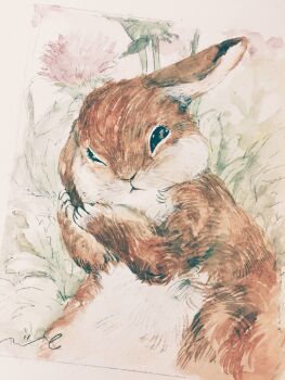 Rule 34 | animal, animal focus, commentary request, highres, looking at viewer, mktd (koame4), no humans, one eye closed, original, rabbit, traditional media