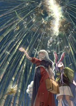 Rule 34 | 2girls, animal ears, bamboo, bamboo23091, bamboo forest, black jacket, blue dress, blush, commentary request, dress, forest, from below, grey hair, grey skirt, highres, jacket, long hair, looking up, multiple girls, nature, purple hair, rabbit ears, rabbit girl, red dress, reisen udongein inaba, skirt, touhou, two-tone dress, yagokoro eirin