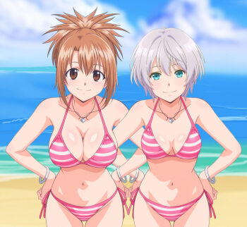 2girls beach breasts brown_eyes brown_hair elie_(rave) green_eyes grey_hair jaku-chara_tomozaki-kun kikuchi_fuuka large_breasts multiple_girls rave_(mashima) smile swimsuit