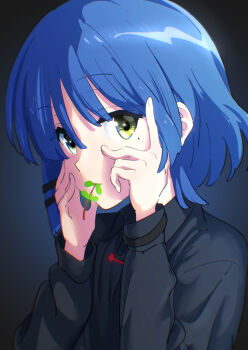 1girl absurdres black_background black_shirt blue_hair blunt_bangs bocchi_the_rock! buruu4000 collared_shirt commentary_request gradient_background hands_on_own_cheeks hands_on_own_face highres long_sleeves looking_at_viewer mole mole_under_eye mouth_hold shirt short_hair simple_background solo stalk_in_mouth upper_body yamada_ryo yellow_eyes