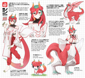 1boy 1girl :o absurdres animal_feet barefoot breasts brown_eyes claw_pose claws clothing_cutout covered_erect_nipples creature crop_top dragon dragon_boy dragon_girl dragon_horns dragon_tail dual_persona fingernails full_body gradient_hair grid_background hand_up highres hip_vent horns large_breasts long_hair long_sleeves looking_at_viewer monster_girl multicolored_hair multiple_views off_shoulder open_mouth original pants red_hair red_pants red_scales reference_sheet sakoku_(oyatsu3ji_) sharp_fingernails sharp_toenails shin_(sakoku_(oyatsu3ji_)) short_hair standing standing_on_one_leg tail toenails torn_clothes translation_request white_background wide_sleeves